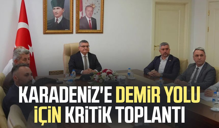 Karadeniz'e demir yolu için kritik toplantı