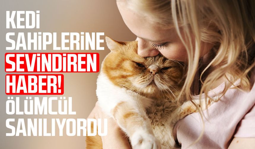 Kedi sahiplerine sevindiren haber! Ölümcül sanılıyordu - samsungazetesi.com