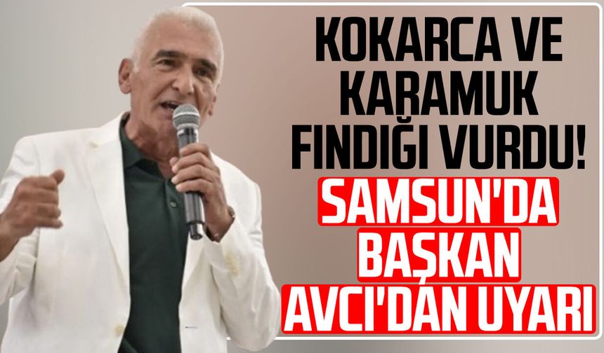 Kokarca ve karamuk fındığı vurdu! Samsun'da Başkan Erdal Avcı'dan uyarı