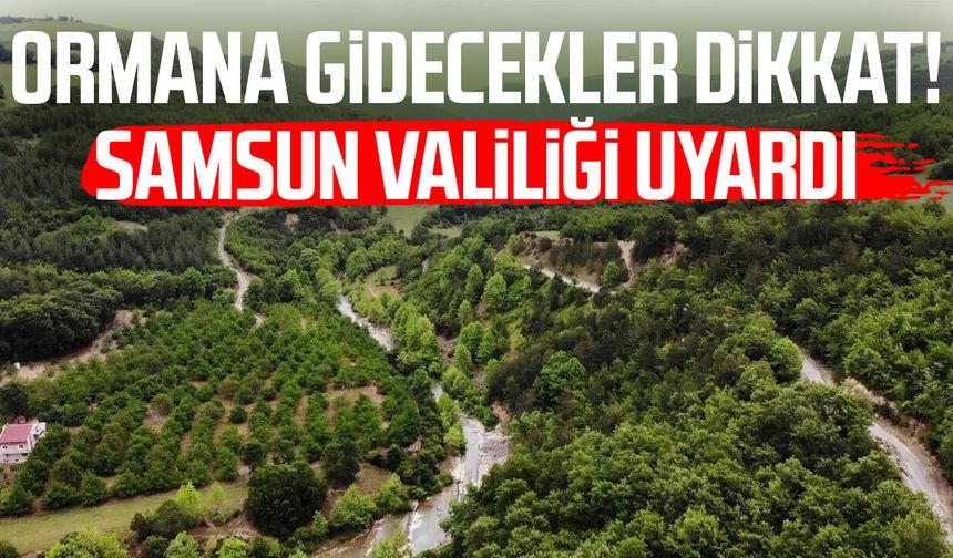 Ormana gidecekler dikkat! Samsun Valiliği uyardı