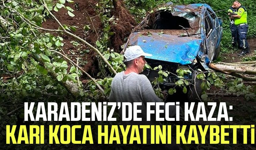 Uçuruma yuvarlanan kamyonetteki karı koca hayatını kaybetti!