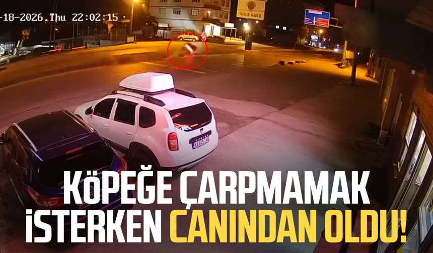 Rize'de köpeğe çarpmamak isterken canından oldu!