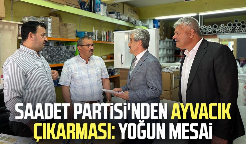 Saadet Partisi'nden Ayvacık çıkarması: Yoğun mesai