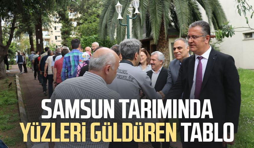Samsun tarımında yüzleri güldüren tablo
