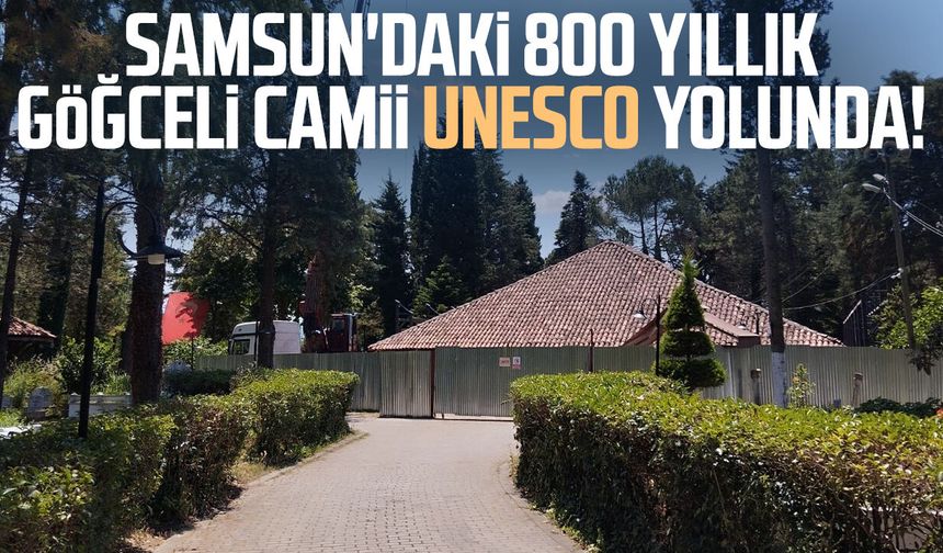 Samsun'daki 800 yıllık Göğceli Camii UNESCO yolunda!