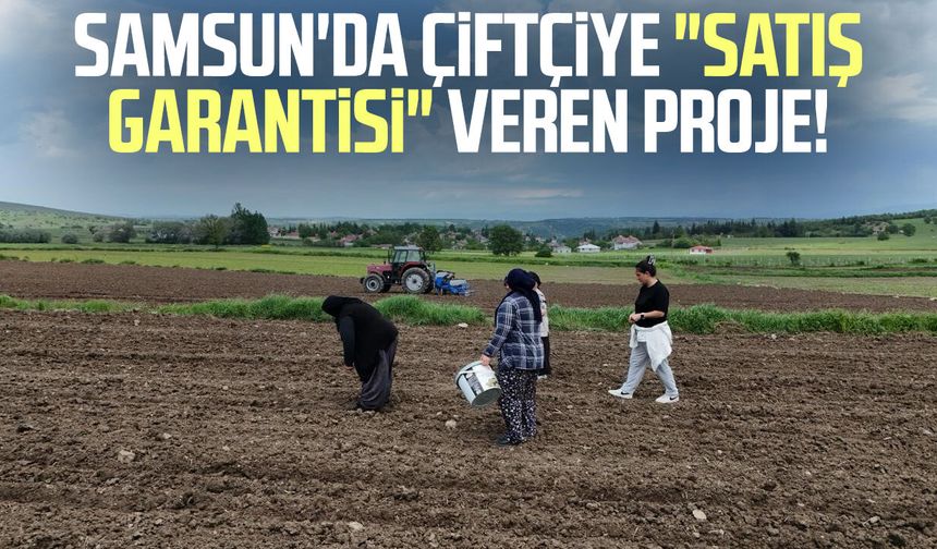 Samsun'da çiftçiye "satış garantisi" veren proje!