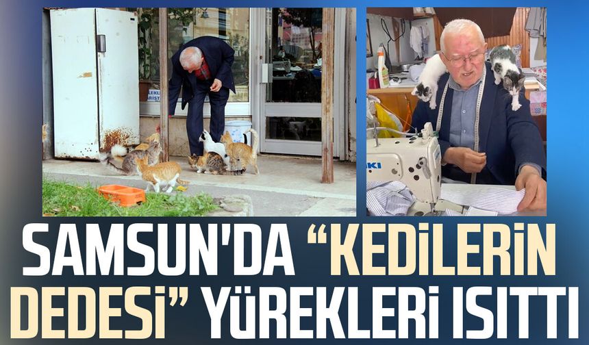 Samsun'da "Kedilerin Dedesi" yürekleri ısıttı