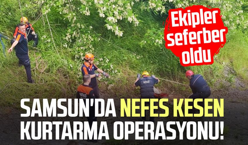 Samsun'da nefes kesen kurtarma! 3 düve için seferber oldular
