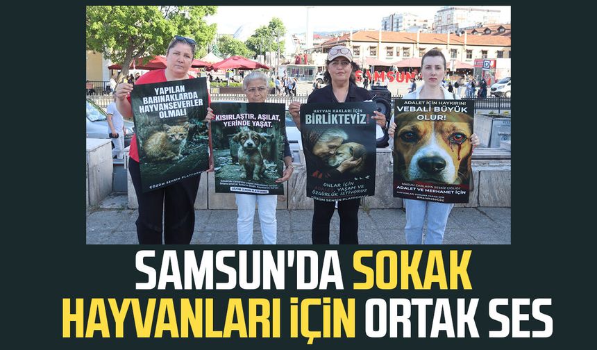 Samsun'da sokak hayvanları için ortak ses