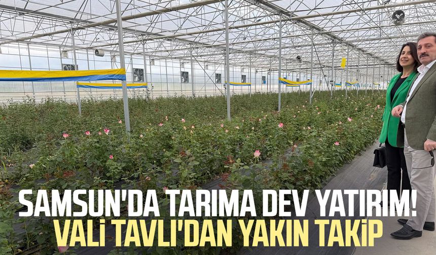 Samsun'da tarıma dev yatırım! Vali Orhan Tavlı'dan yakın takip