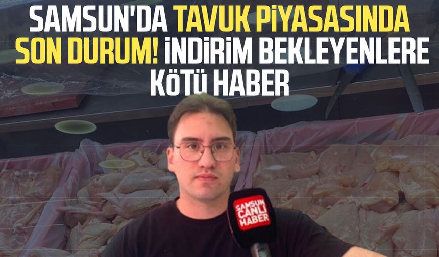 Samsun'da tavuk piyasasında son durum! İndirim bekleyenlere kötü haber