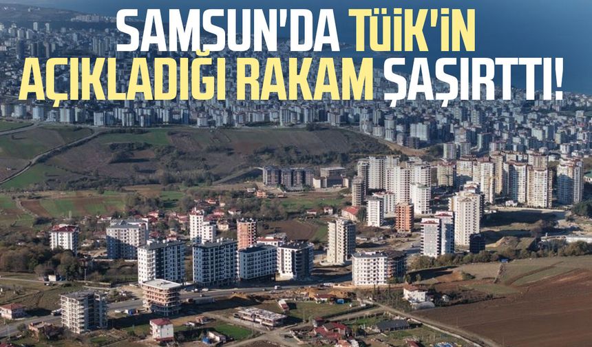 Samsun'da TÜİK'in açıkladığı rakam şaşırttı!
