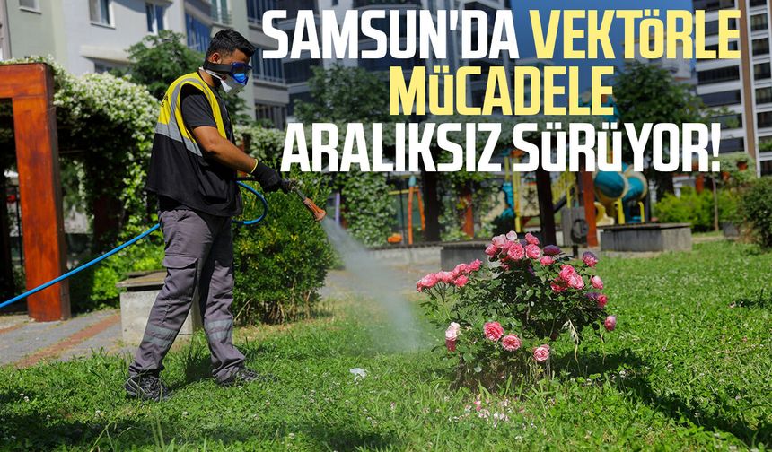 Samsun'da vektörle mücadele aralıksız sürüyor!