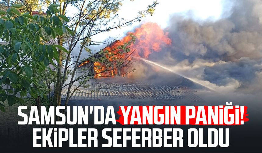 Samsun'da yangın paniği! Ekipler harekete geçti