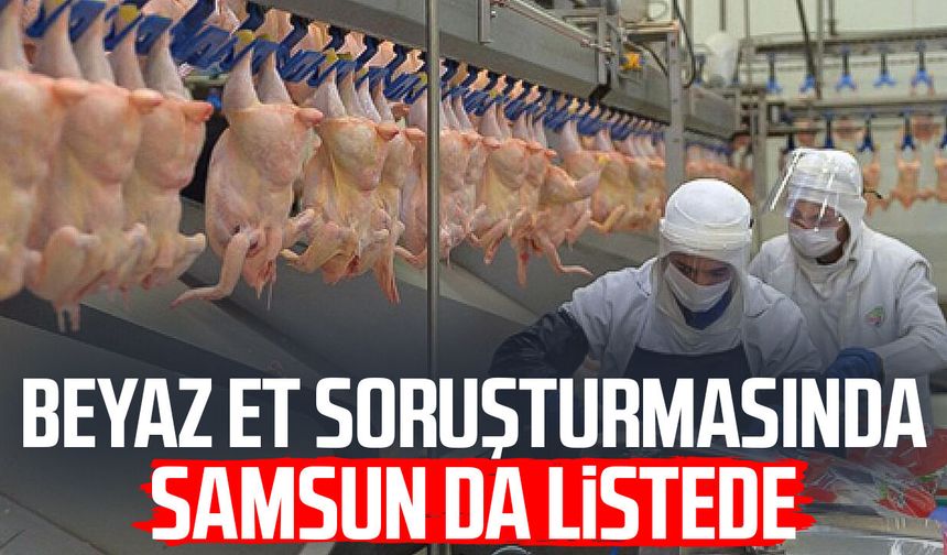 Samsun'daki beyaz et firmasına kayyım kararı