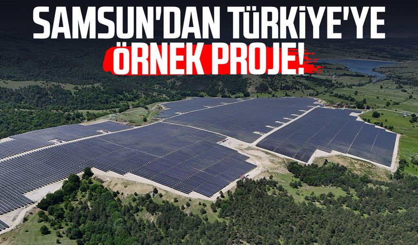 Samsun'dan Türkiye'ye örnek proje: Çifte üretim modeli