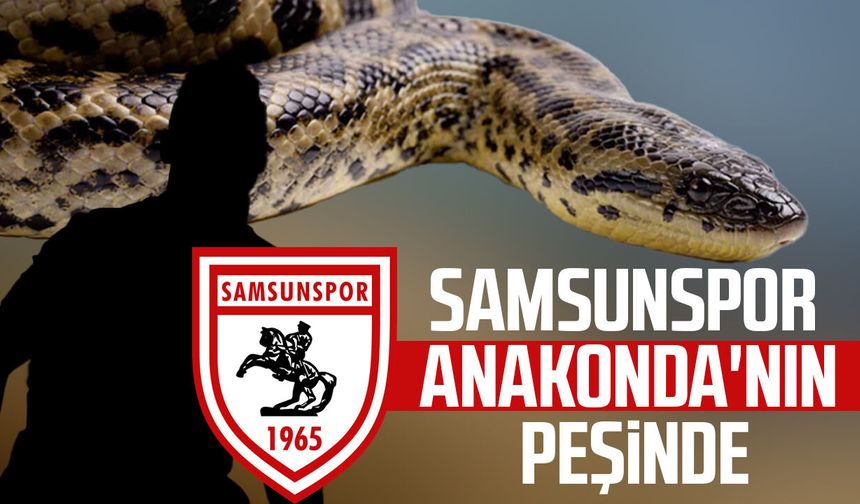 Samsunspor'da Mostafa Mohamed sesleri