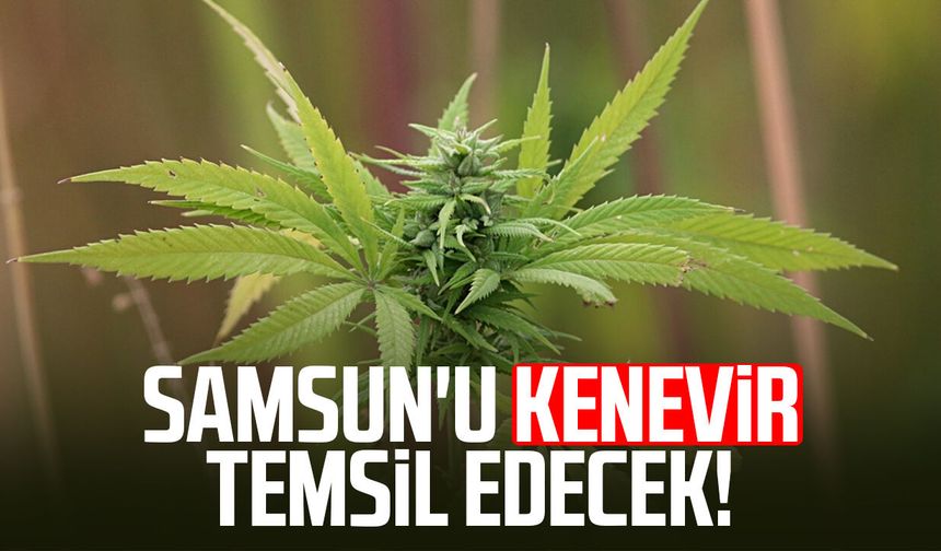 Samsun'u kenevir temsil edecek!