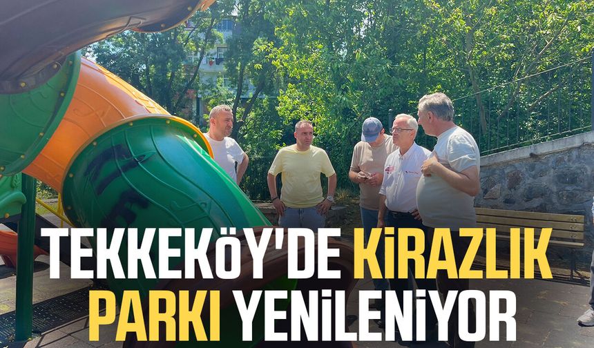 Tekkeköy'de Kirazlık Parkı yenileniyor