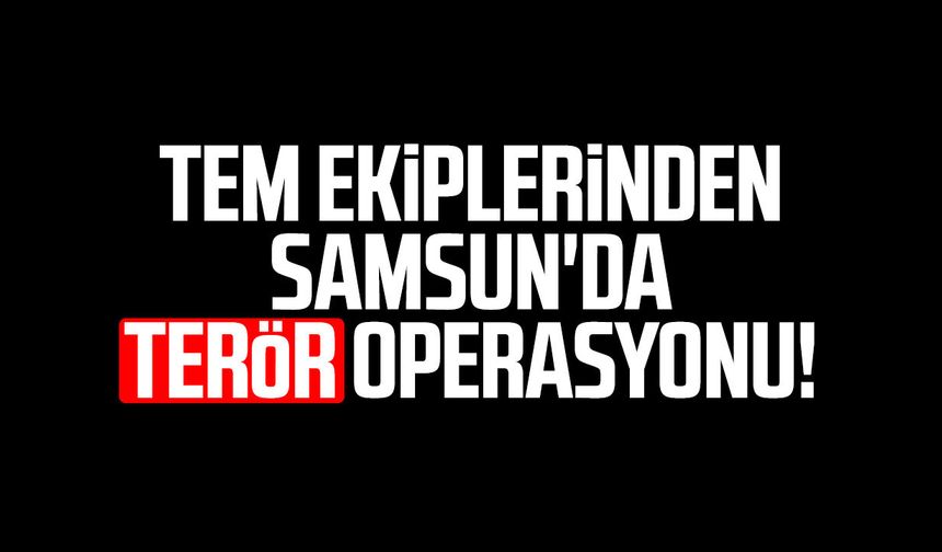 TEM ekiplerinden Samsun'da DEAŞ operasyonu! - samsungazetesi.com
