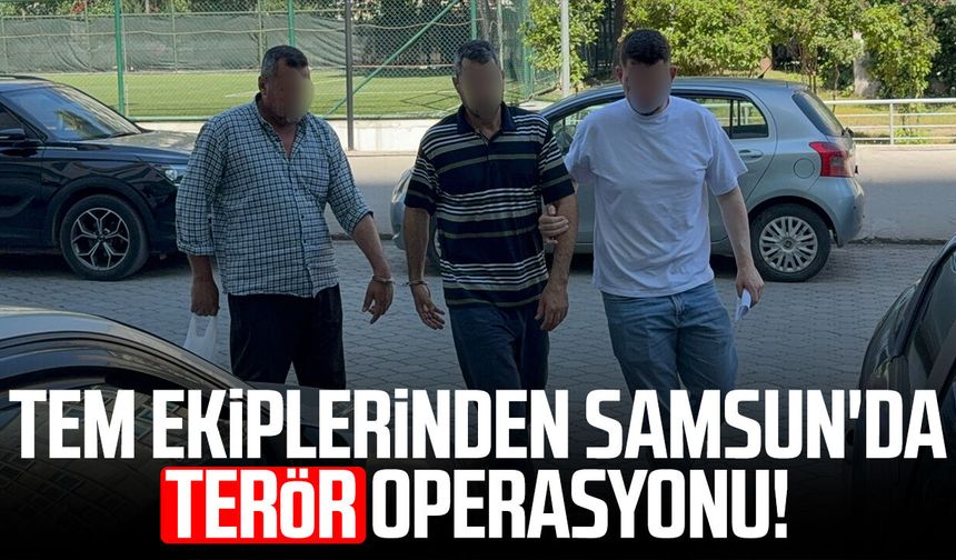 TEM ekiplerinden Samsun'da DEAŞ operasyonu!