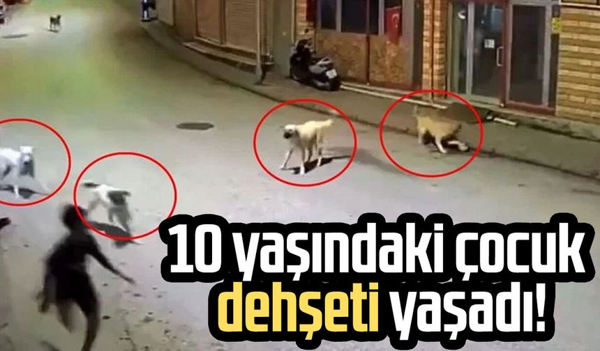 10 yaşındaki çocuk dehşeti yaşadı!