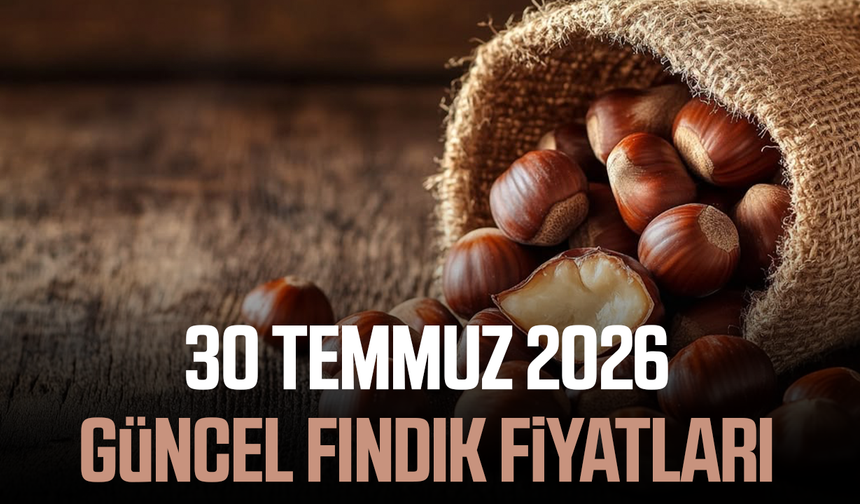 30 Temmuz 2026 il il güncel fındık fiyatları