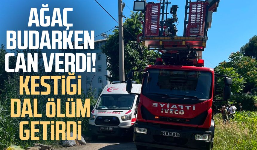 Rize'de ıhlamur toplamak isterken canından oldu