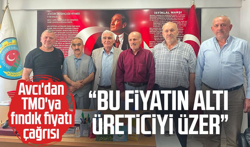 Ayvacık Ziraat Odası Başkanı Avcı'dan TMO'ya fındık fiyatı çağrısı