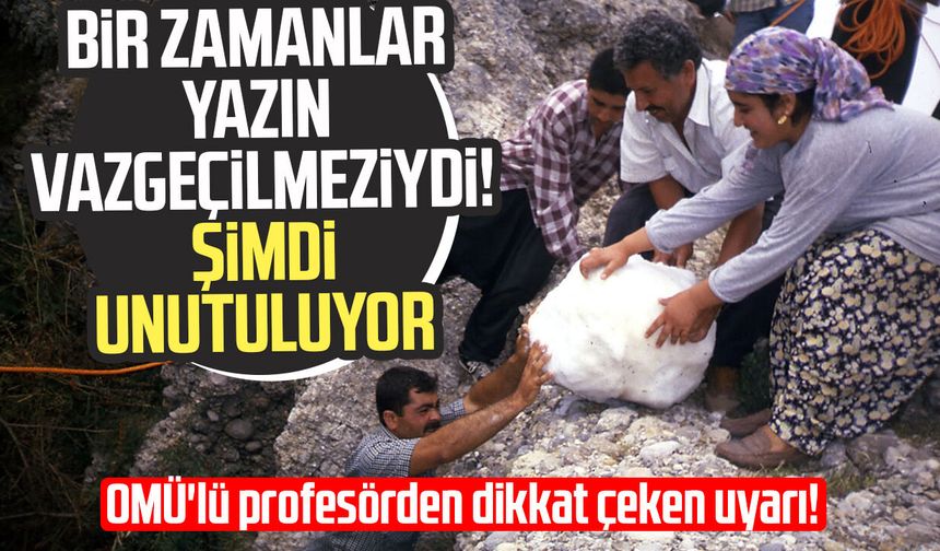 Bir zamanlar yazın vazgeçilmeziydi! Şimdi unutuluyor - samsungazetesi.com