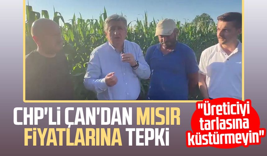 CHP Samsun Milletvekili Dr. Murat Çan'dan mısır fiyatlarına tepki