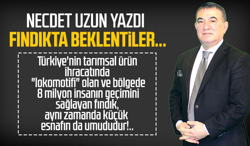Necdet Uzun yazdı: Fındıkta beklentiler...