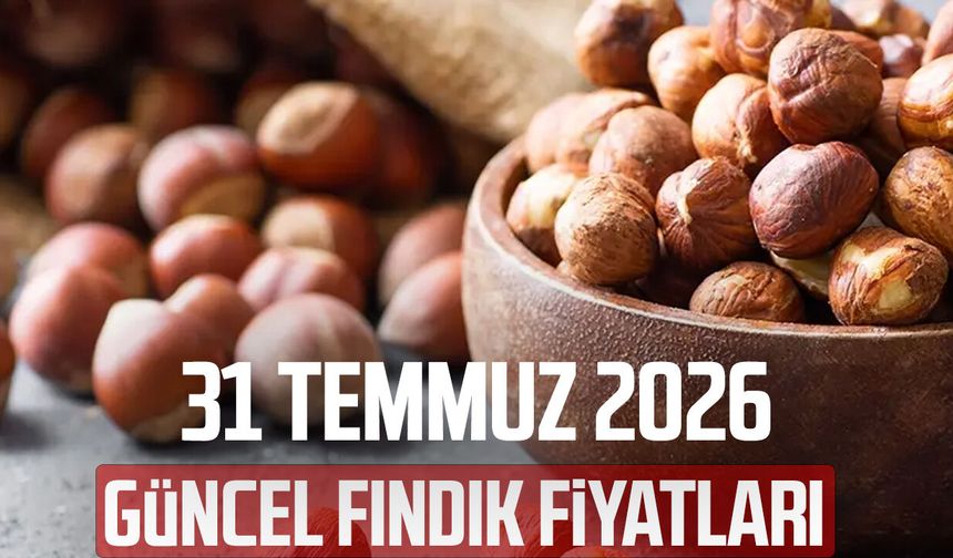 31 Temmuz 2026 il il güncel fındık fiyatları