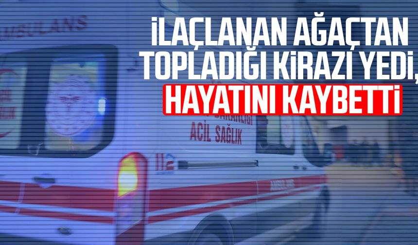İlaçlanan ağaçtan topladığı kirazı yedi, hayatını kaybetti