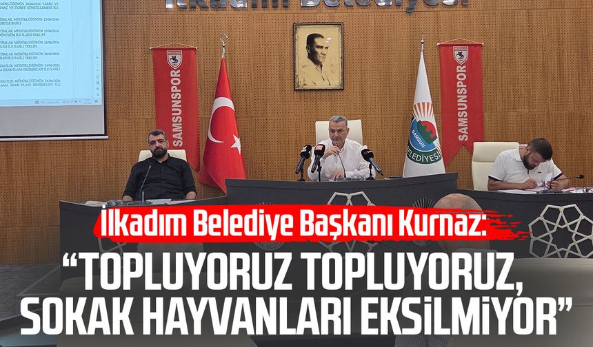 İlkadım'dan çağrı: Sokak hayvanı sorunu ortak çözülmeli