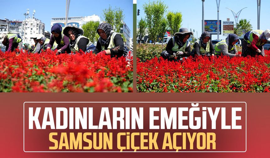 Samsun'da 1 milyon çiçek kadınların emeğiyle toprakla buluştu