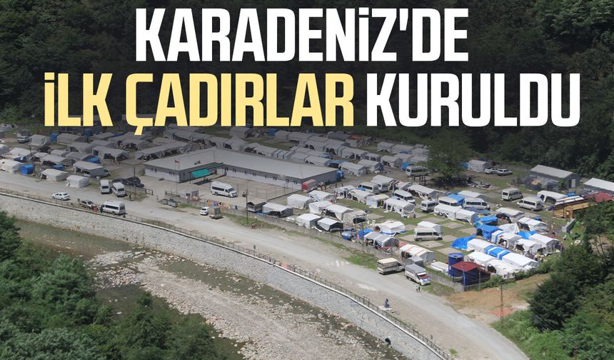Karadeniz'de fındık sezonu başlıyor! İlk çadırlar kuruldu