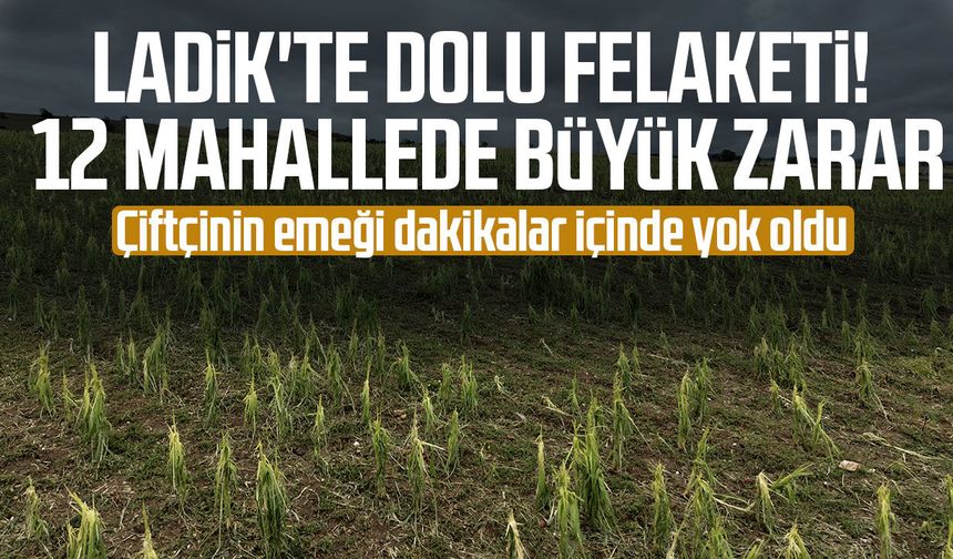 Ladik'te dolu felaketi! 12 mahallede tarımda büyük zarar