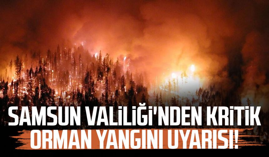 Samsun Valiliği'nden kritik orman yangını uyarısı!