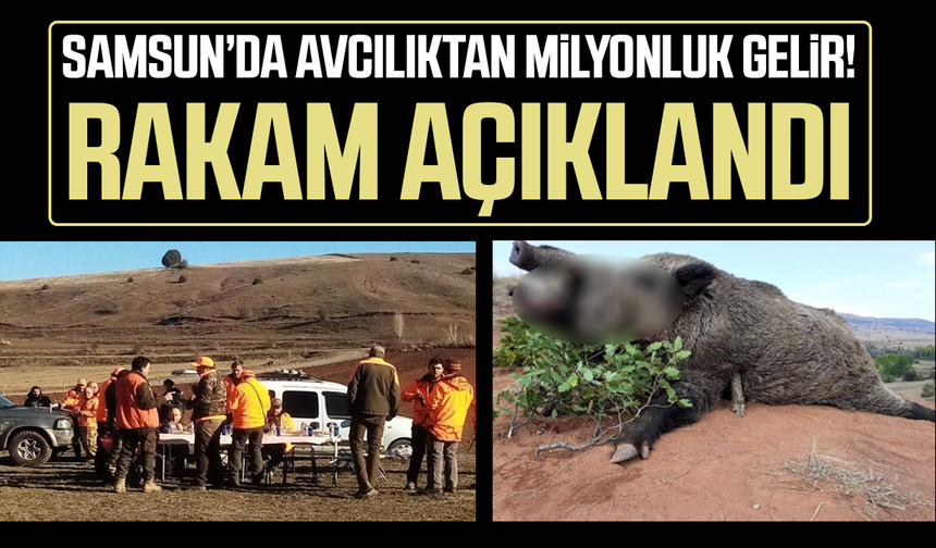 Samsun’da avcılıktan milyonluk gelir! Rakam açıklandı