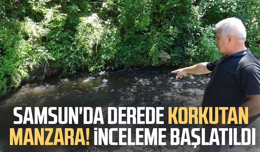 Samsun'da derede korkutan manzara! İnceleme başlatıldı