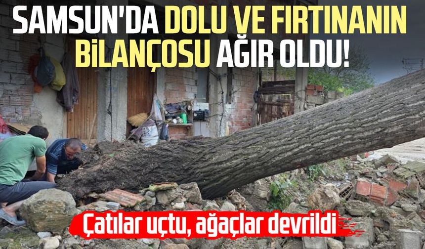 Samsun'da dolu ve fırtınanın bilançosu ağır oldu! Çatılar uçtu, ağaçlar devrildi