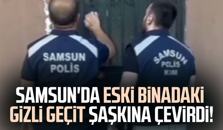Samsun'da halının altından kaçak kazı çıktı! 4 şüpheliye adli işlem