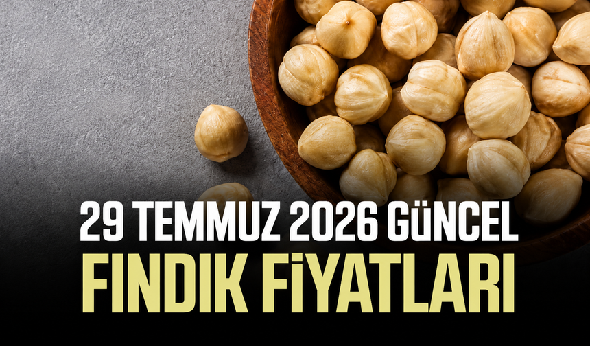 29 Temmuz 2026 güncel fındık fiyatları