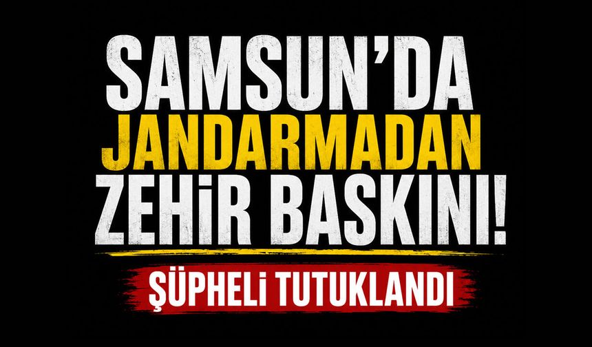 Samsun'da jandarmadan zehir baskını! Şüpheli tutuklandı
