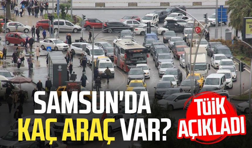Samsun'da kaç araç var? TÜİK açıkladı