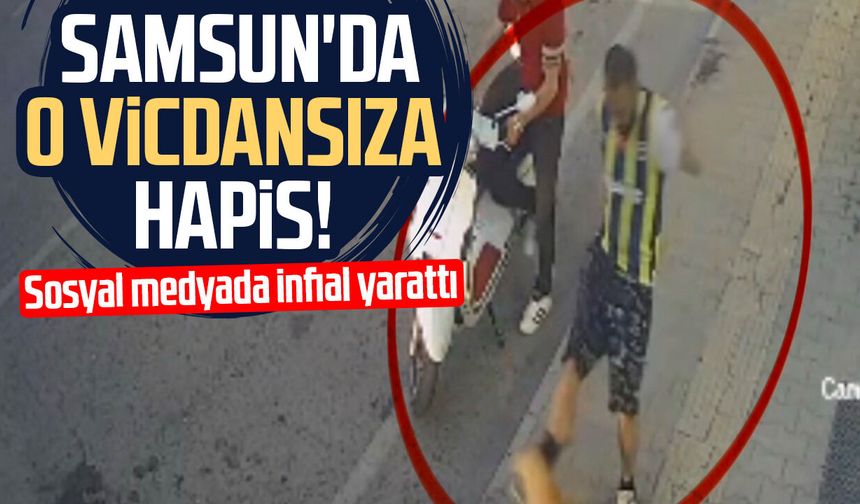 Samsun'da kediye tekme atan zanlı tutuklandı!