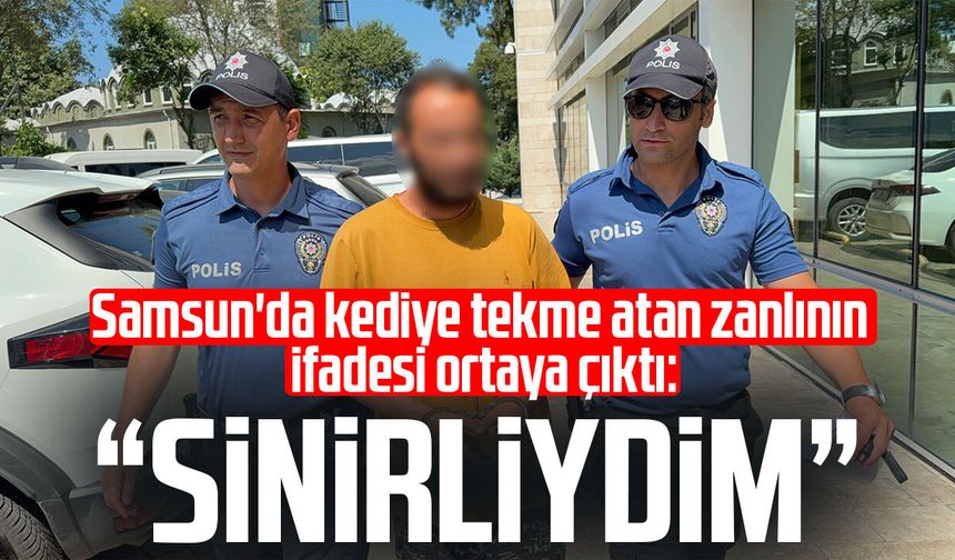 Samsun'da kediye tekme atan zanlının ifadesi ortaya çıktı: "Sinirliydim"