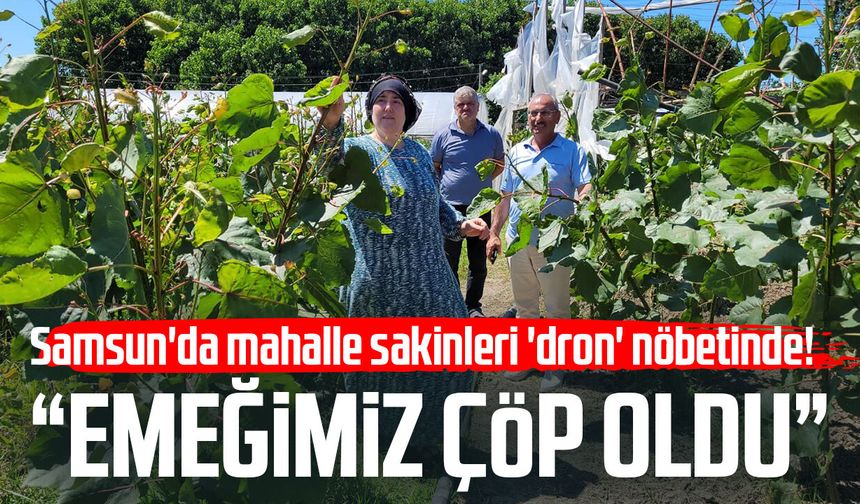 Samsun'da mahalle sakinleri 'dron' nöbetinde! "Emeğimiz çöp oldu"