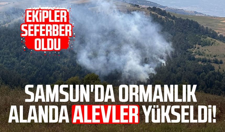 Samsun'da ormanlık alanda korkutan yangın! Ekipler seferber oldu